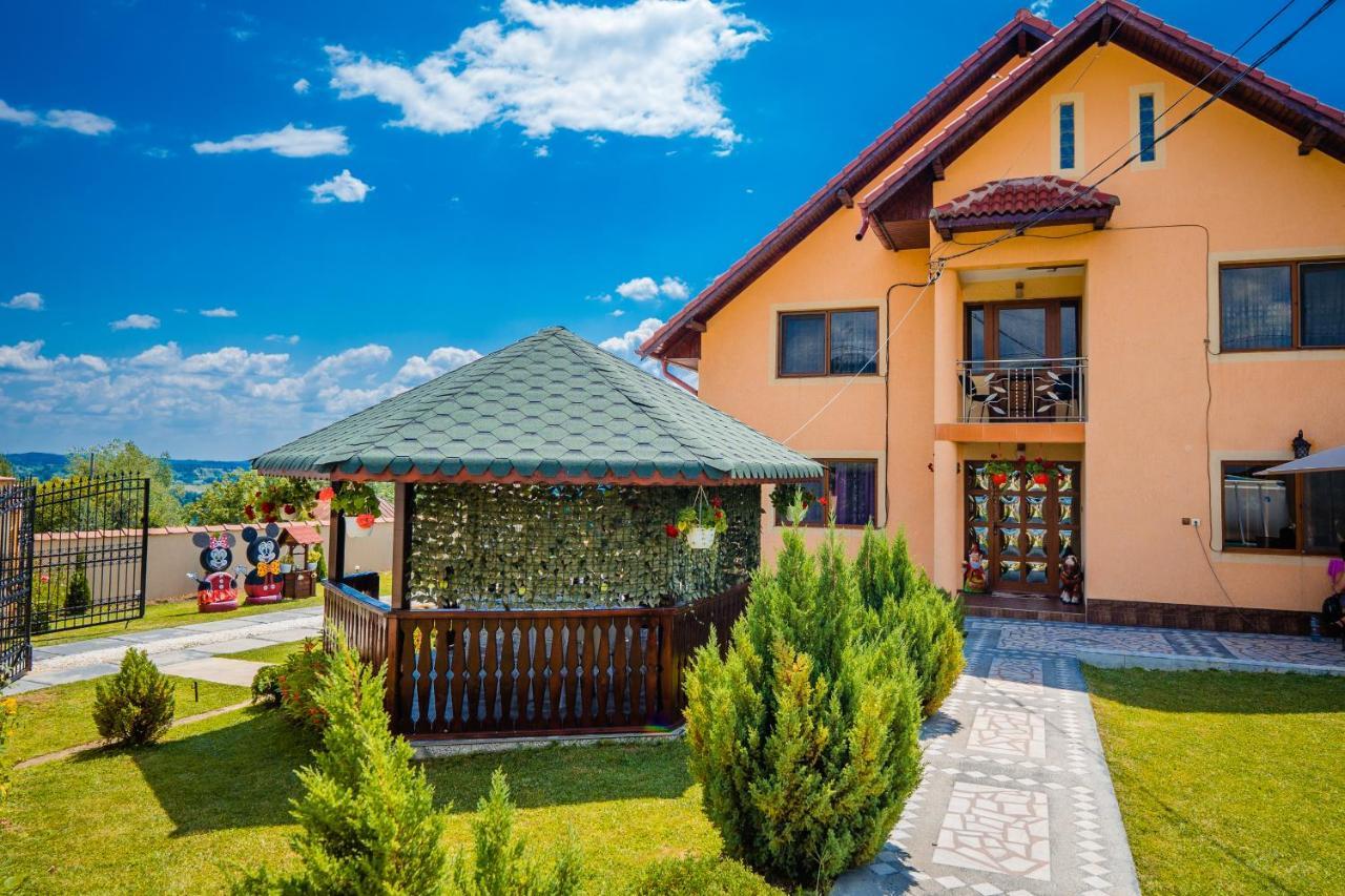 Pensiunea Adrian Novaci-Străini Exteriör bild